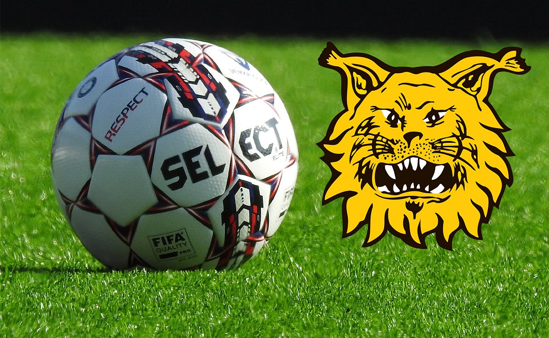 ​Ilves arpoo kyydin matsiin kahdelle onnekkaalle