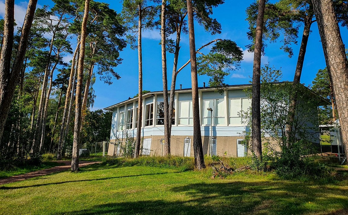 ​IFK Mariehamn järjestää kesätanssitapahtumia – viisi keskiviikkoa ohjelmassa