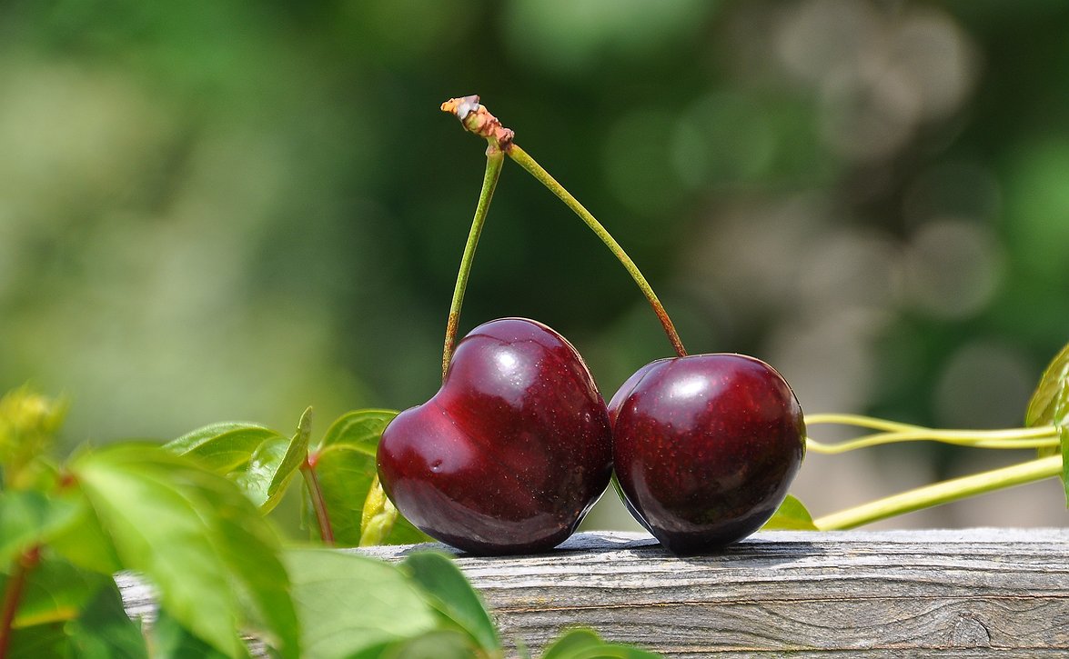 BLOGI: Kirsikat voi laittaa vasta kakun päälle