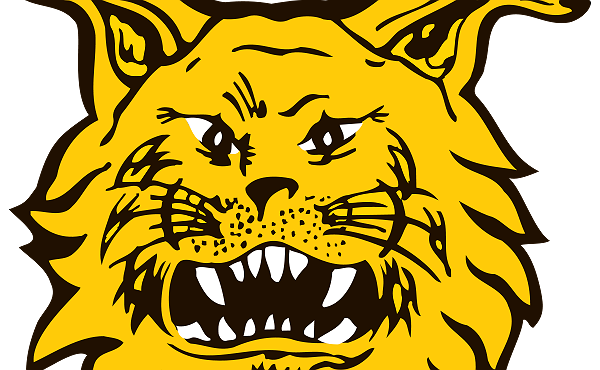 ​Ghanalainen Latif Mohammed Ilveksen testiin