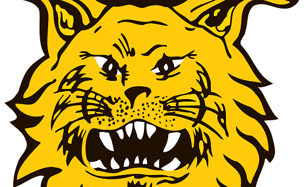 ​Ilves kiinnitti puolustajalupauksensa kolmivuotisella sopimuksella