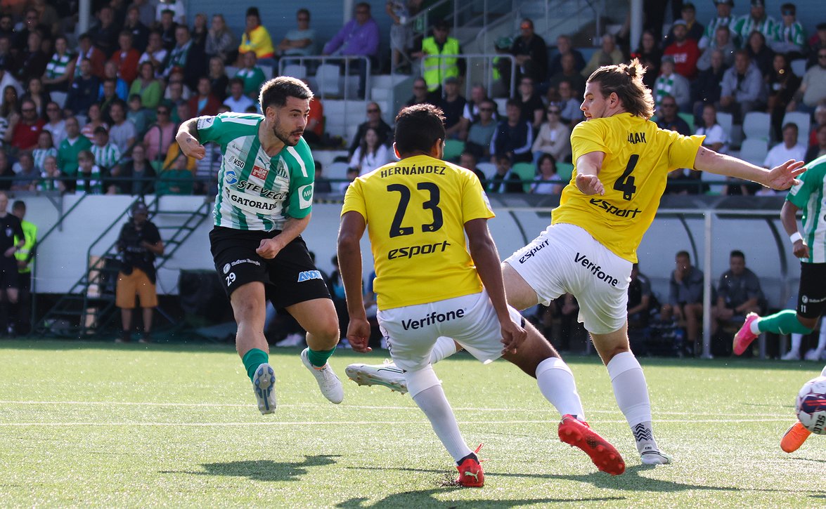 "Kaikki mahdollisuudet mitaliin ja europaikkaan" - Honka päätti runkosarjan vahvaan putkeen